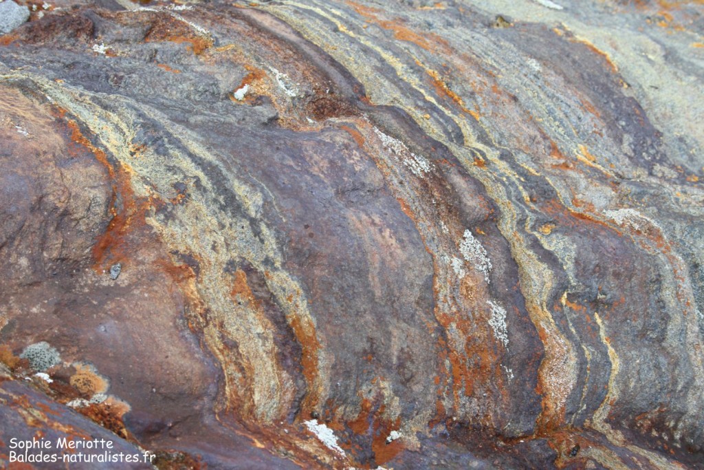 Glacier du Svartisen