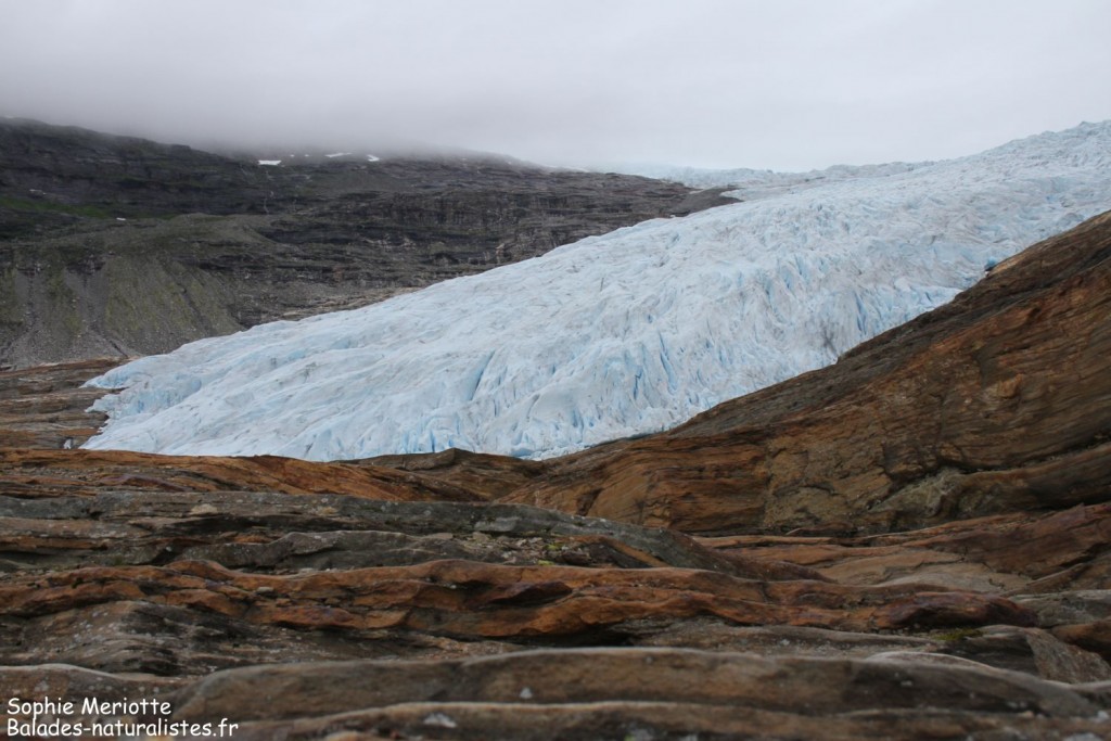 Glacier du Svartisen