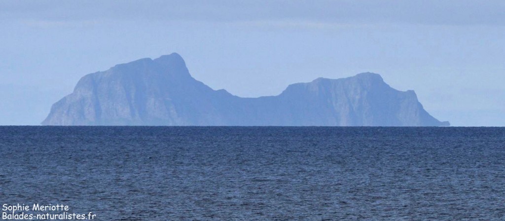 Les Lofoten à l'horizon