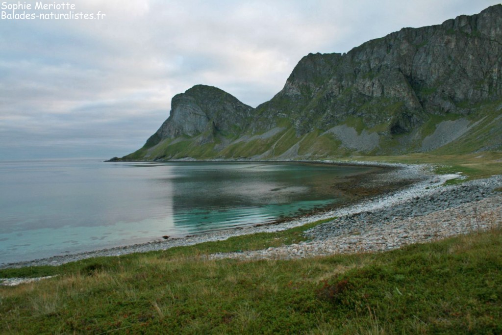 Crique solitaire à Vaeroy
