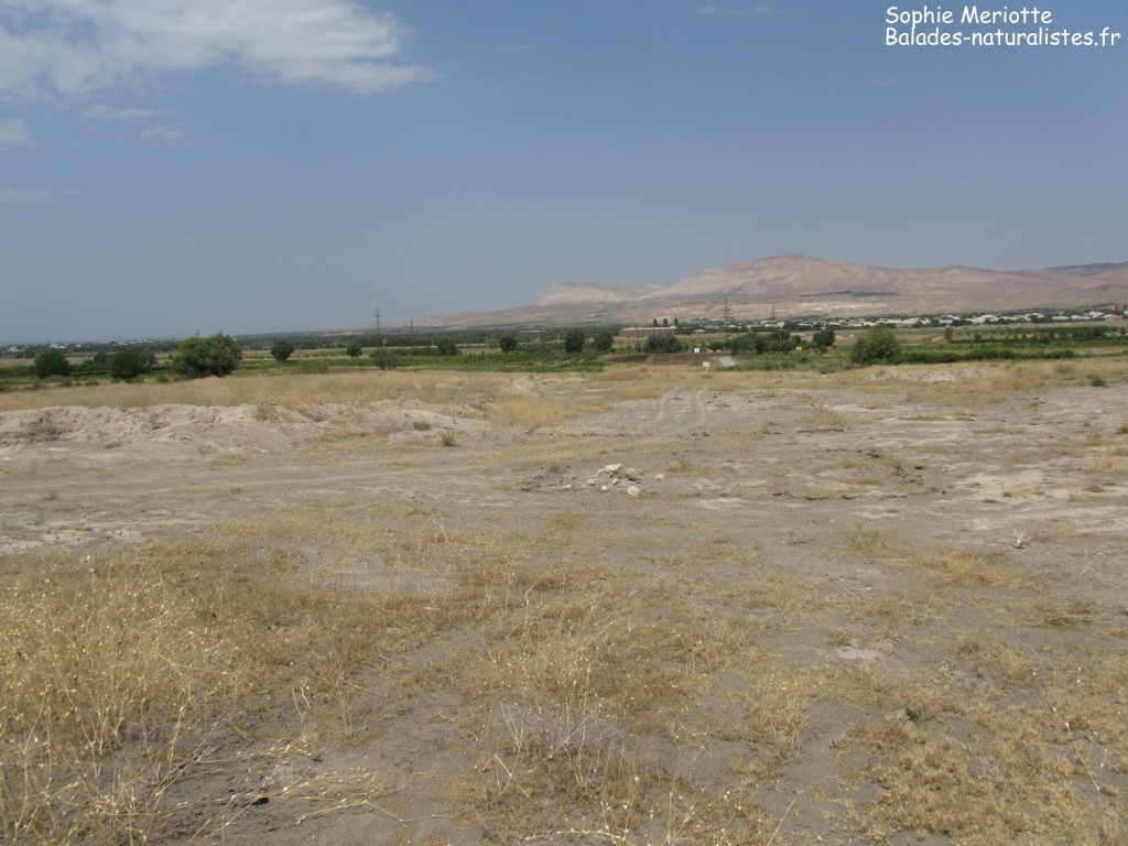 Les sables de Vorotan