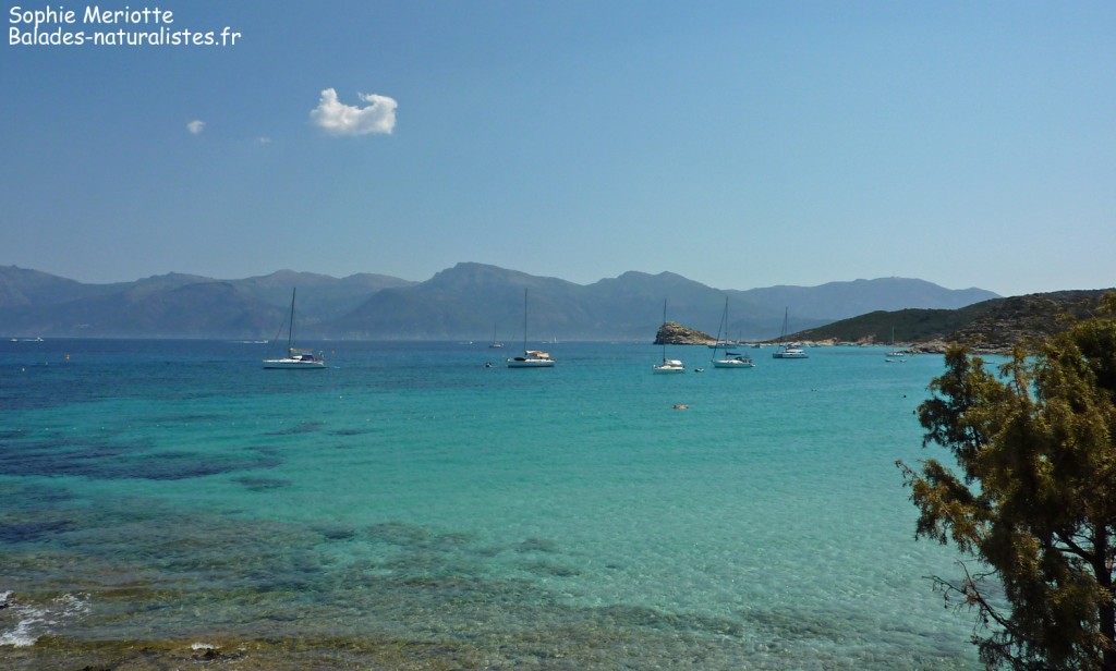 Plage de Saint-Florent
