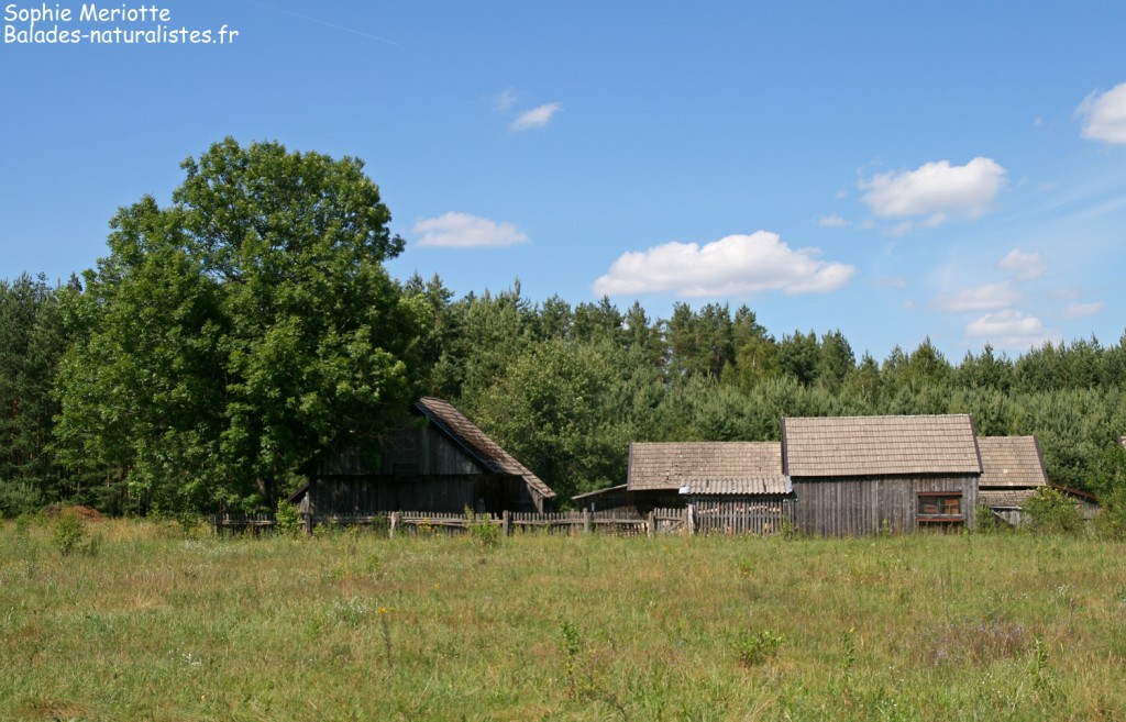 Village près du lac de Siemianowka