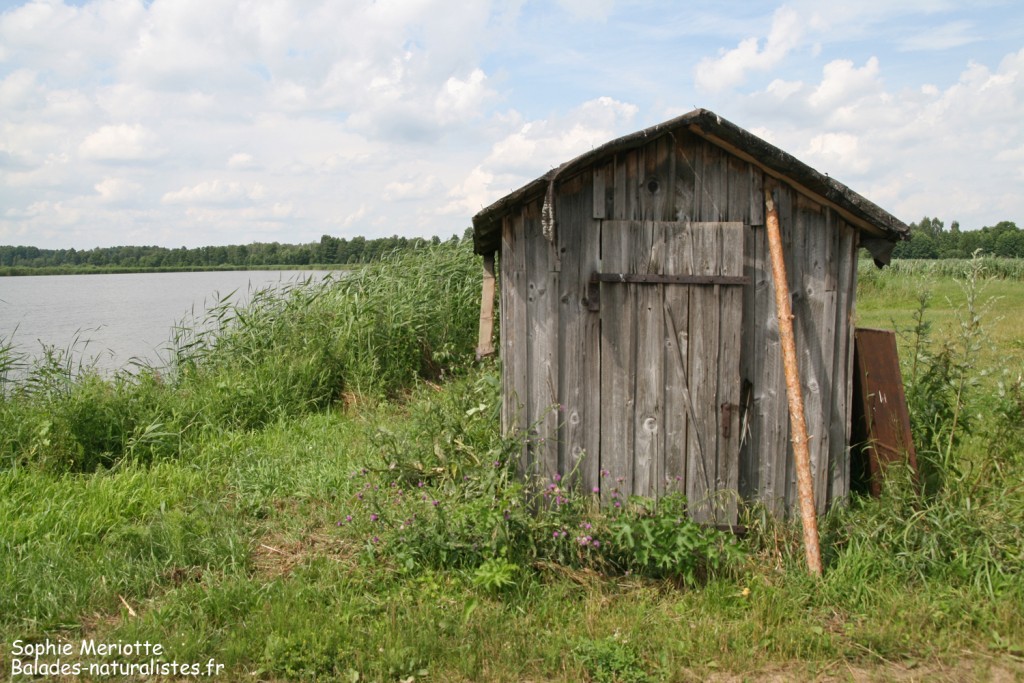 Pisciculture de Stawy Popielewo