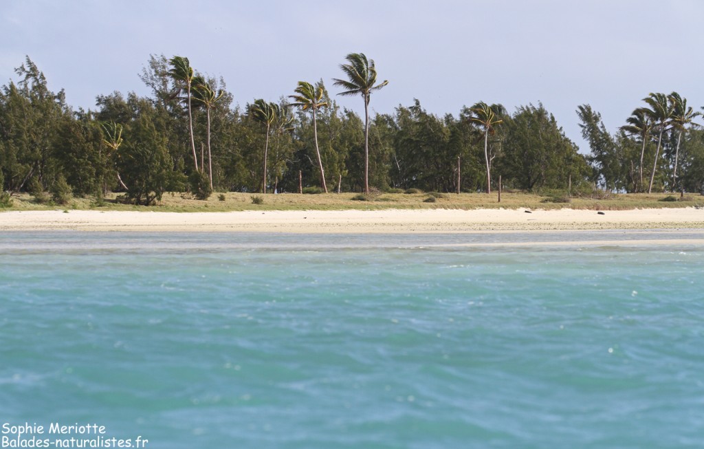 Ile aux Cocos