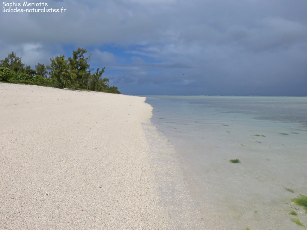 Plage de l'Ile aux Cocos, Rodrigues