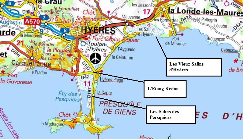 Les salins