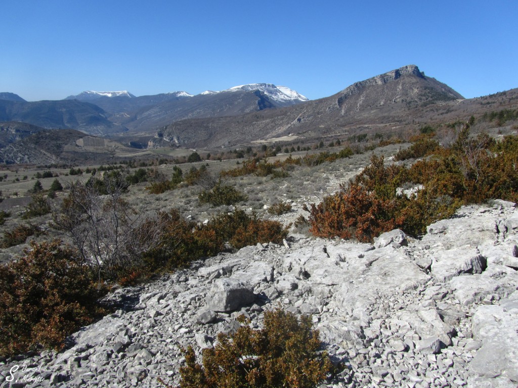 Drôme Drôme