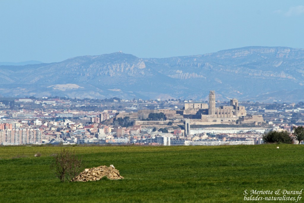 Catalogne : région de Lérida Catalogne : région de Lérida