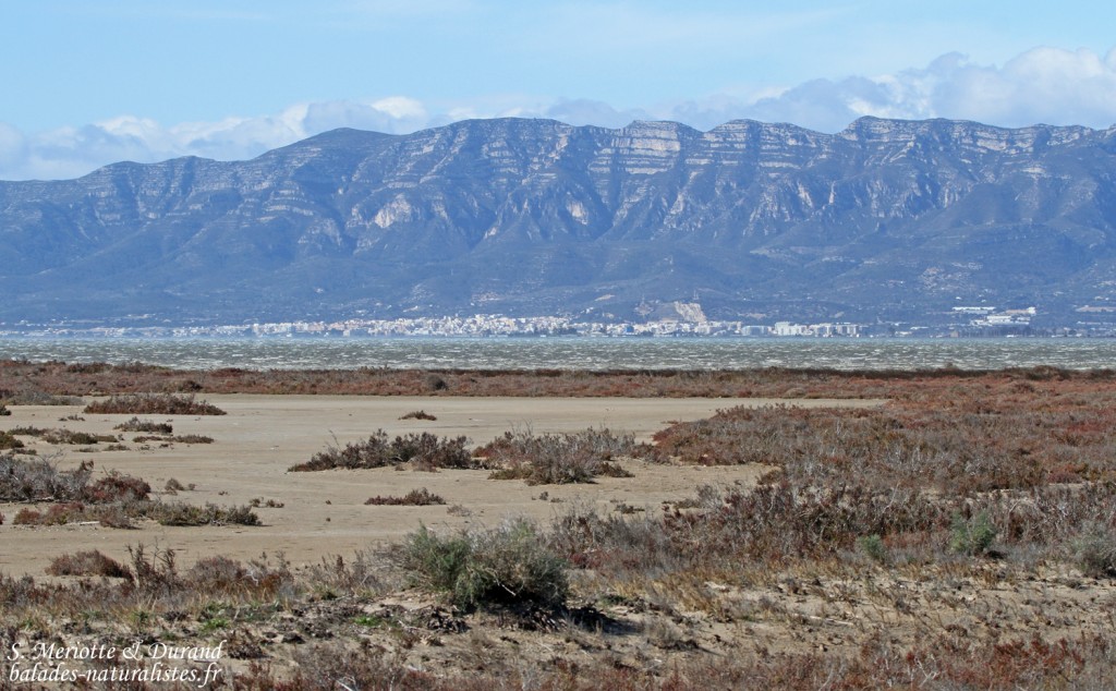 Le Delta de l’Ebre Le Delta de l’Ebre