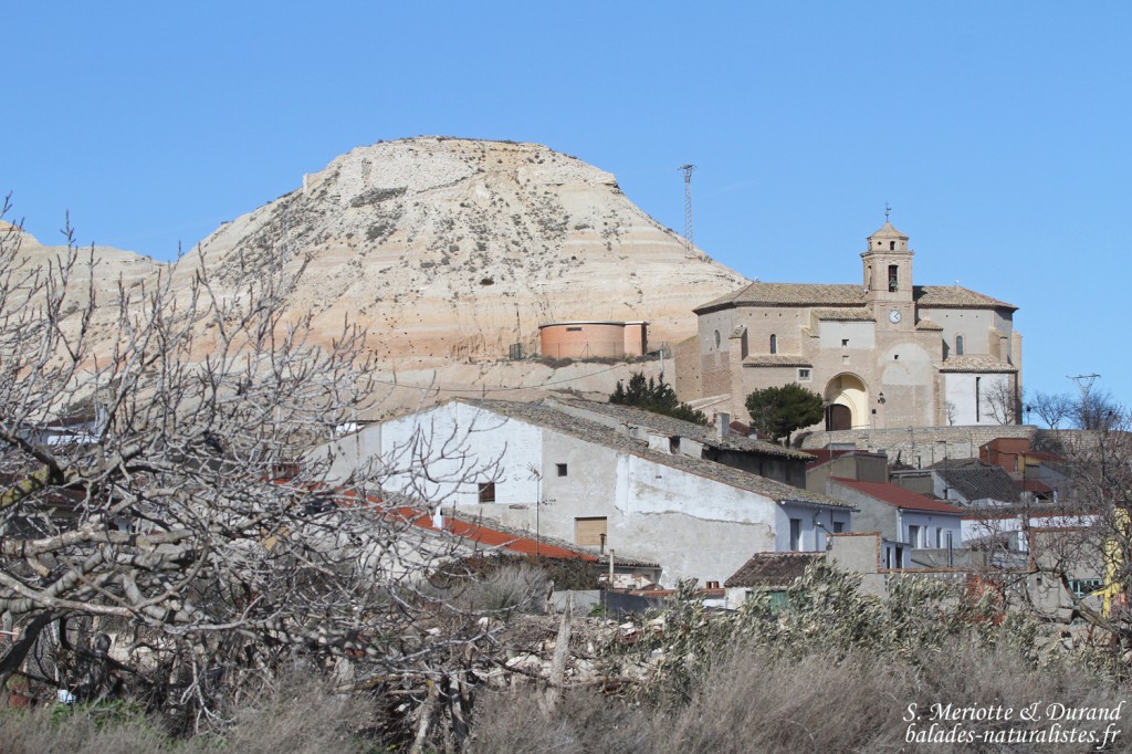 Los Monegros Los Monegros