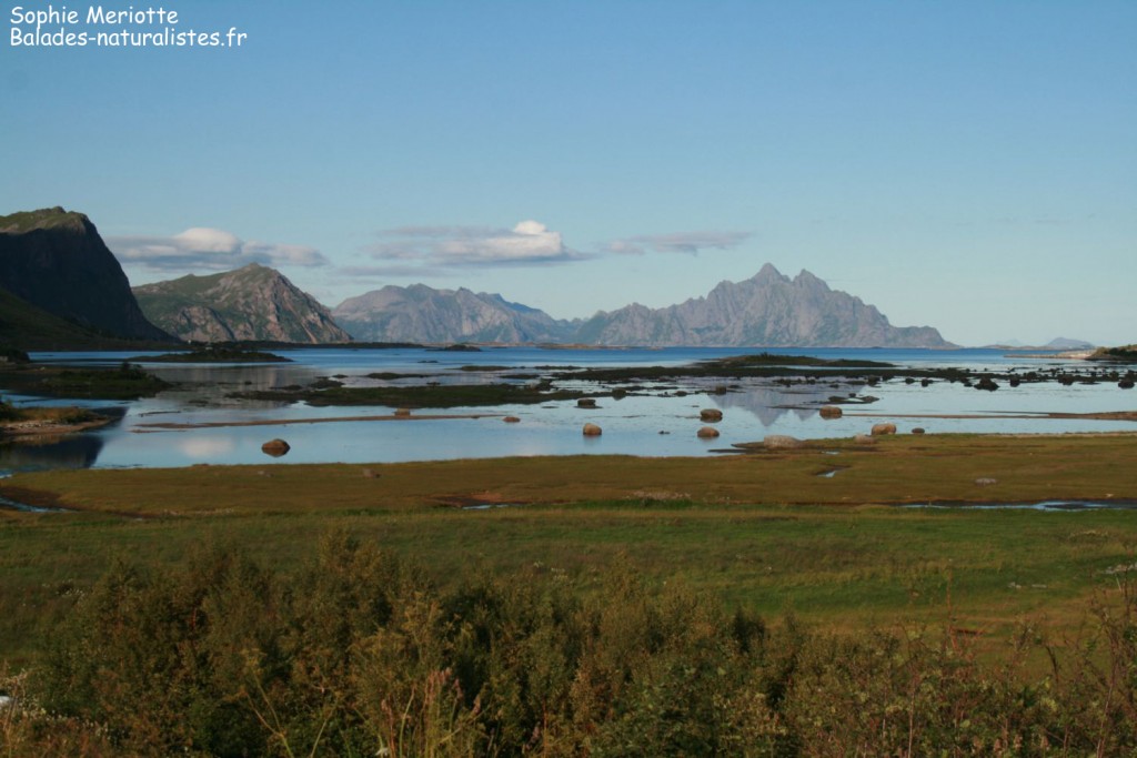 Norvège : d’Oslo aux Lofoten août 2012 Norvège : d’Oslo aux Lofoten août 2012