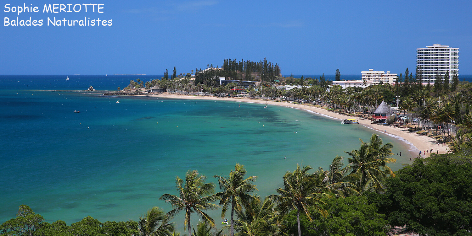 Nouméa – Dumbéa – Païta Nouméa – Dumbéa – Païta