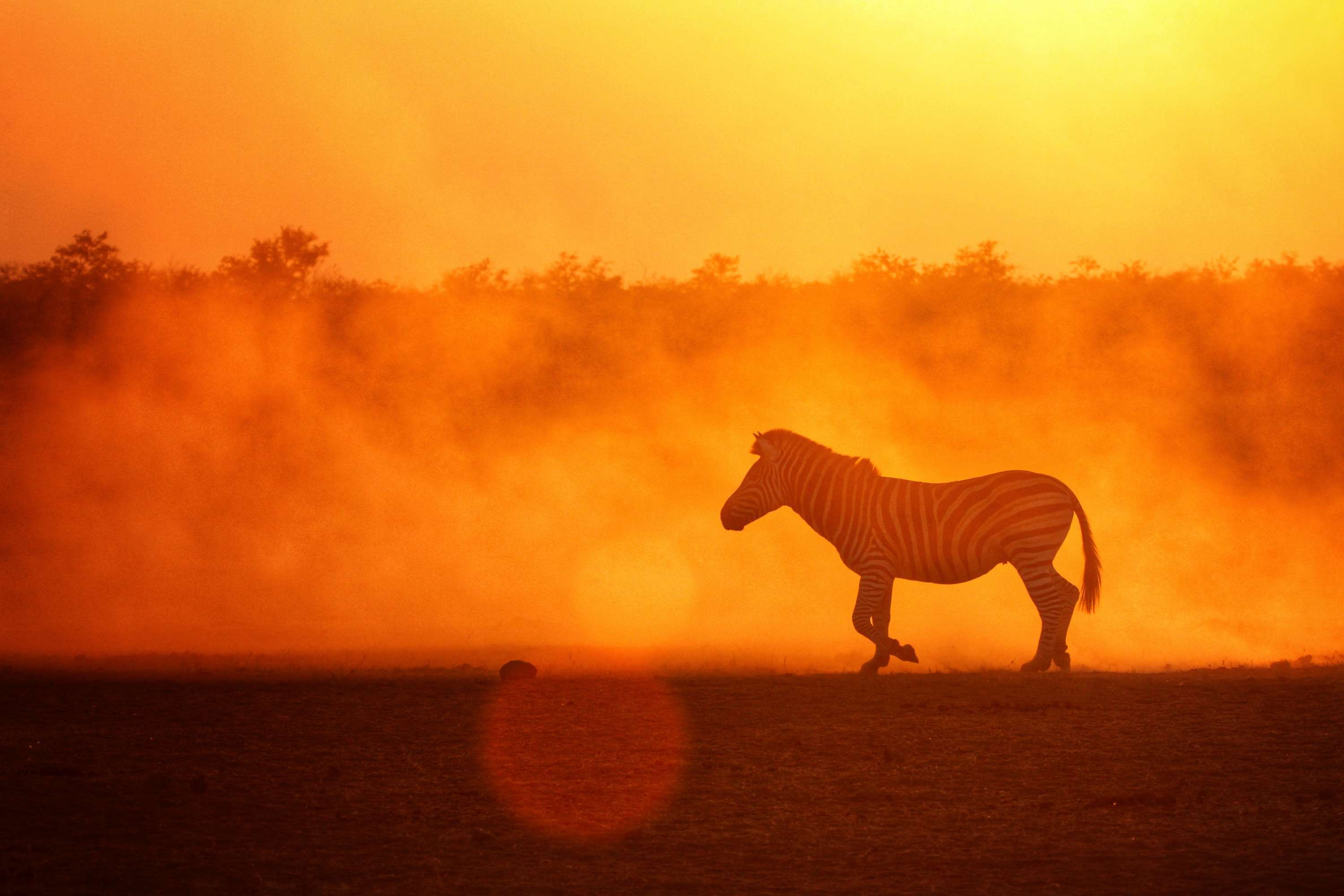 AFRIQUE AFRIQUE